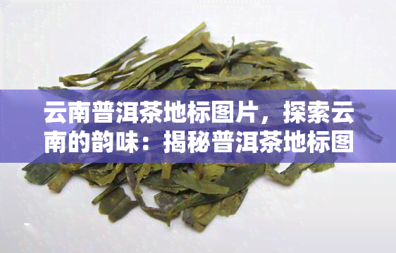 云南普洱茶地标图片，探索云南的韵味：揭秘普洱茶地标图片背后的故事