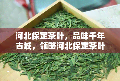 河北保定茶叶，品味千年古城，领略河北保定茶叶的独特魅力