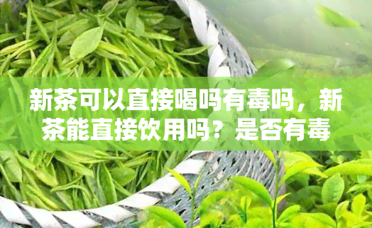 新茶可以直接喝吗有吗，新茶能直接饮用吗？是否有？