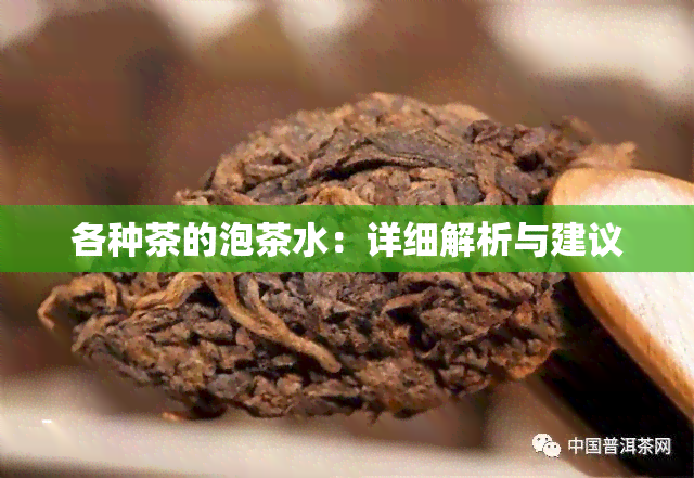 各种茶的泡茶水：详细解析与建议