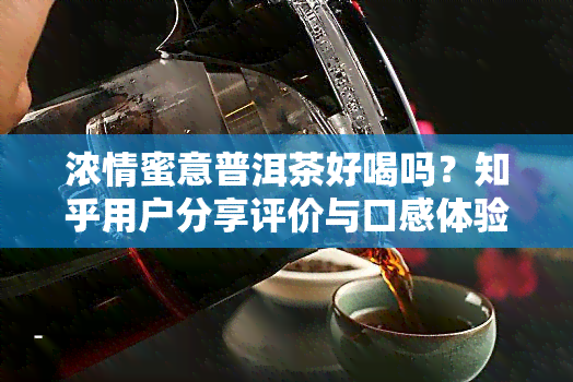 浓情蜜意普洱茶好喝吗？知乎用户分享评价与口感体验