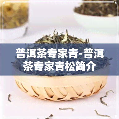 普洱茶专家青-普洱茶专家青松简介