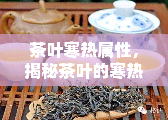 茶叶寒热属性，揭秘茶叶的寒热属性，了解不同茶类的养生功效