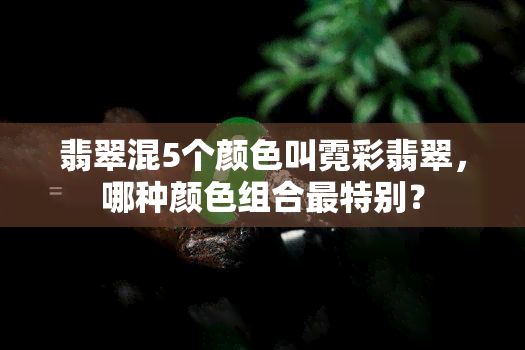 翡翠混5个颜色叫霓彩翡翠，哪种颜色组合最特别？