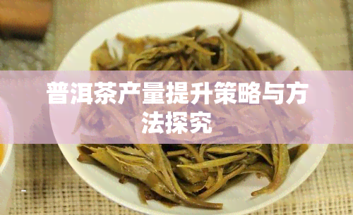 普洱茶产量提升策略与方法探究