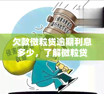 欠款微粒贷逾期利息多少，了解微粒贷逾期利息：关键信息解析