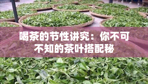 喝茶的节性讲究：你不可不知的茶叶搭配秘