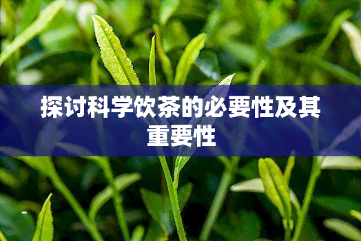 探讨科学饮茶的必要性及其重要性