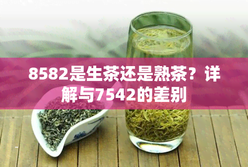 8582是生茶还是熟茶？详解与7542的差别