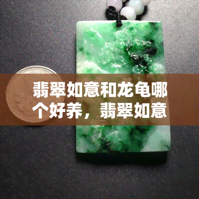 翡翠如意和龙龟哪个好养，翡翠如意与龙龟：哪个更适合您？养殖指南