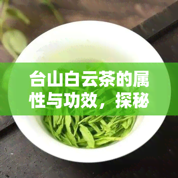 台山白云茶的属性与功效，探秘台山白云茶：属性与功效全解析