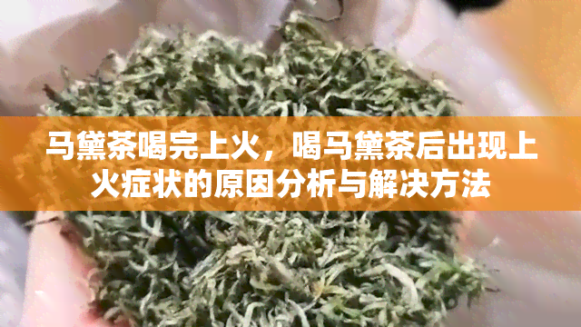 马黛茶喝完上火，喝马黛茶后出现上火症状的原因分析与解决方法