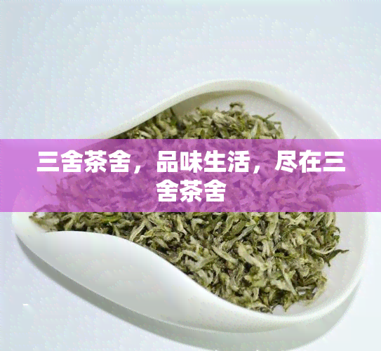 三舍茶舍，品味生活，尽在三舍茶舍