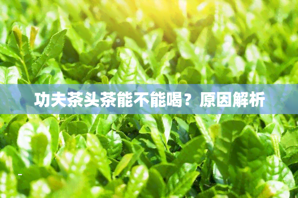 功夫茶头茶能不能喝？原因解析