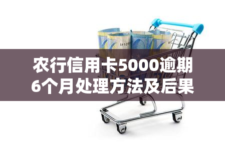 农行信用卡5000逾期6个月处理方法及后果