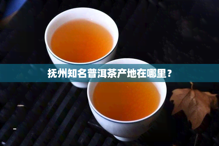 抚州知名普洱茶产地在哪里？