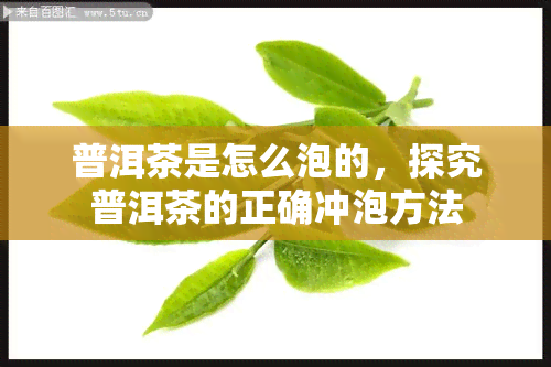 普洱茶是怎么泡的，探究普洱茶的正确冲泡方法