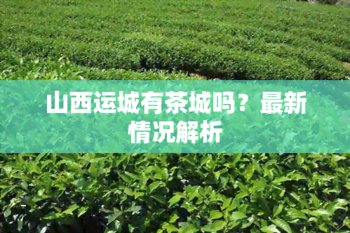 山西运城有茶城吗？最新情况解析