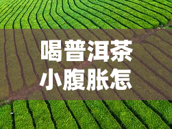 喝普洱茶小腹胀怎么回事，普洱茶引发的小腹胀痛原因解析