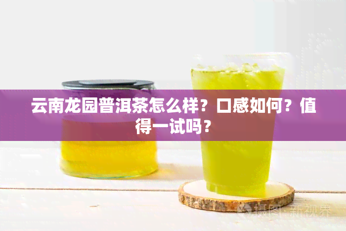 云南龙园普洱茶怎么样？口感如何？值得一试吗？