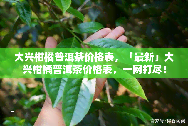 大兴柑橘普洱茶价格表，「最新」大兴柑橘普洱茶价格表，一网打尽！