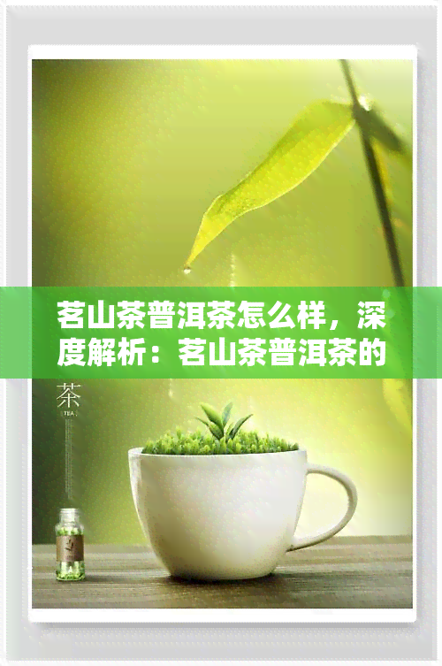 茗山茶普洱茶怎么样，深度解析：茗山茶普洱茶的品质与口感