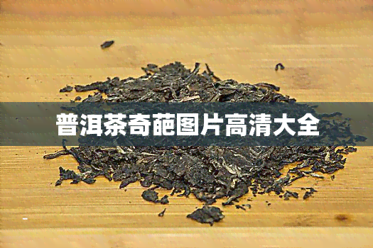 普洱茶奇葩图片高清大全