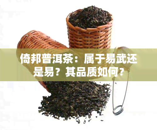 倚邦普洱茶：属于易武还是易？其品质如何？