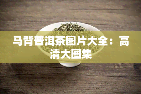 马背普洱茶图片大全：高清大图集