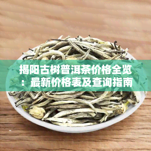 揭阳古树普洱茶价格全览：最新价格表及查询指南