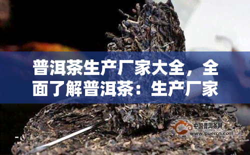 普洱茶生产厂家大全，全面了解普洱茶：生产厂家大全一览