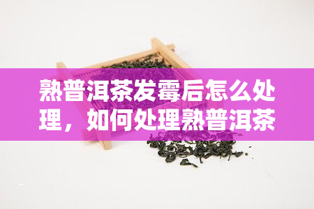 熟普洱茶发霉后怎么处理，如何处理熟普洱茶发霉后的困扰？