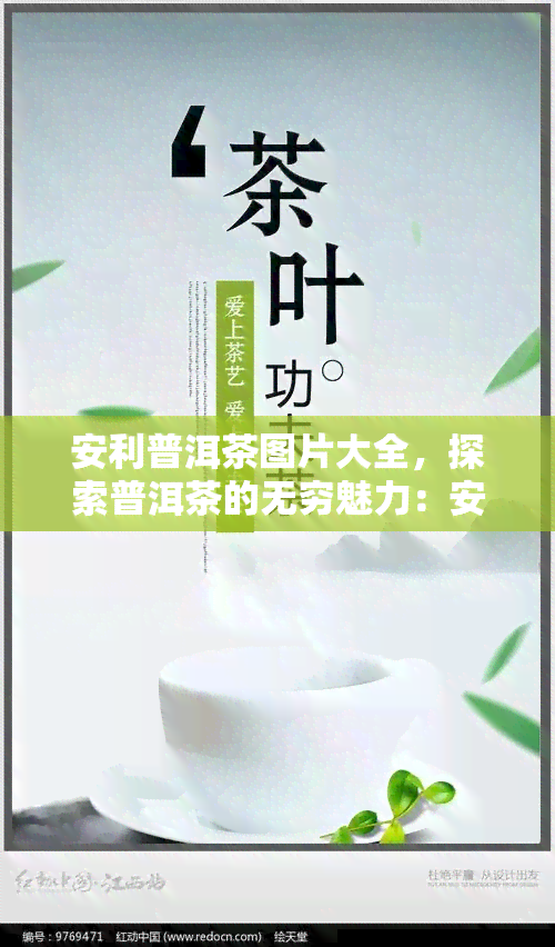 安利普洱茶图片大全，探索普洱茶的无穷魅力：安利普洱茶图片大全