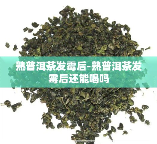 熟普洱茶发霉后-熟普洱茶发霉后还能喝吗