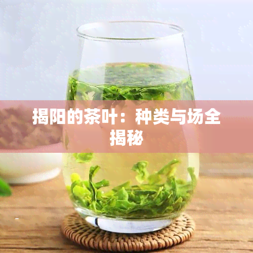 揭阳的茶叶：种类与场全揭秘