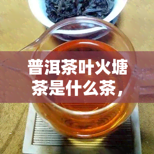 普洱茶叶火塘茶是什么茶，揭秘普洱茶叶火塘茶：一种独特的茶叶品种