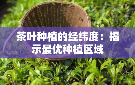 茶叶种植的经纬度：揭示更优种植区域