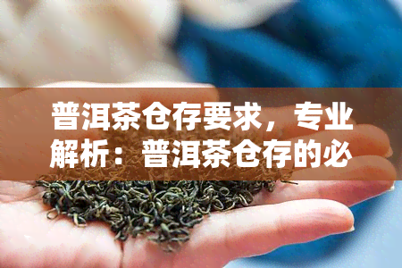 普洱茶仓存要求，专业解析：普洱茶仓存的必备要求与技巧