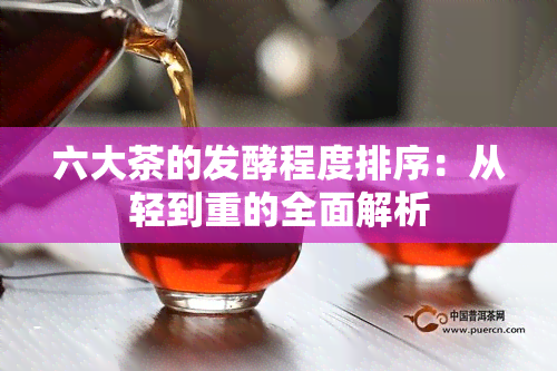 六大茶的发酵程度排序：从轻到重的全面解析