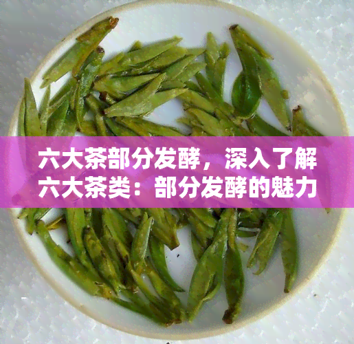 六大茶部分发酵，深入了解六大茶类：部分发酵的魅力与特点