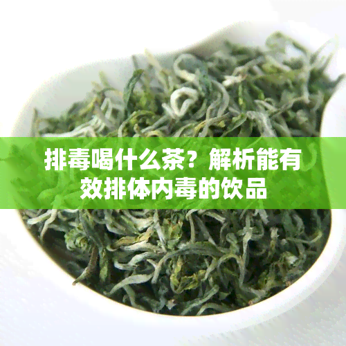 排喝什么茶？解析能有效排体内的饮品