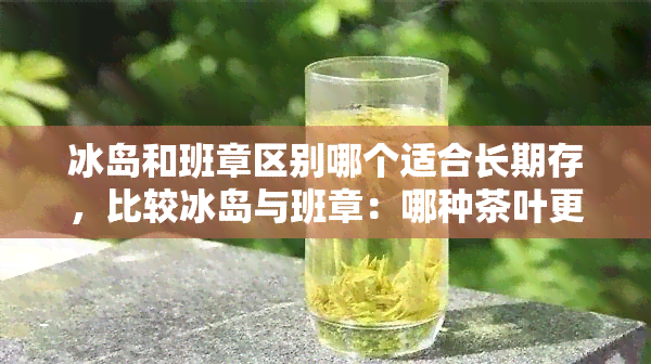 冰岛和班章区别哪个适合长期存，比较冰岛与班章：哪种茶叶更适合长期存？