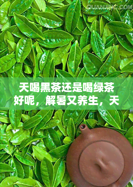 天喝黑茶还是喝绿茶好呢，解暑又养生，天喝黑茶还是绿茶更合适？