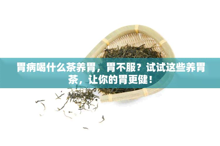 胃病喝什么茶养胃，胃不服？试试这些养胃茶，让你的胃更健！