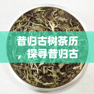 昔归古树茶历，探寻昔归古树茶的历渊源与文化内涵