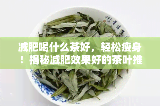 减肥喝什么茶好，轻松瘦身！揭秘减肥效果好的茶叶推荐