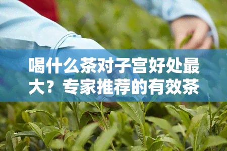 喝什么茶对子宫好处更大？专家推荐的有效茶饮