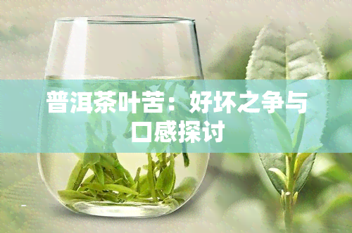 普洱茶叶苦：好坏之争与口感探讨