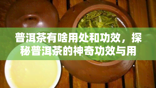 普洱茶有啥用处和功效，探秘普洱茶的神奇功效与用途