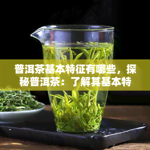 普洱茶基本特征有哪些，探秘普洱茶：了解其基本特征与独特韵味